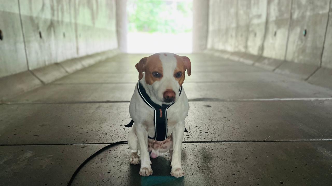 Nye referater er publisert.